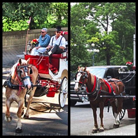 Central Park Horse & Carriage Rides - Love to Eat and Travel