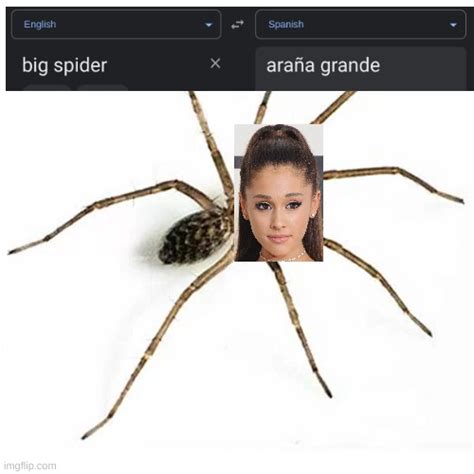 Big Spider Ariana Grande Imgflip