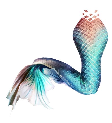 Mermaid Tail Clip Art Transparent