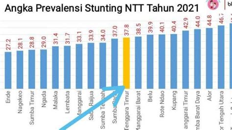 Ini Sebaran Stunting Di Nusa Tenggara Timur Hingga Tahun Pos