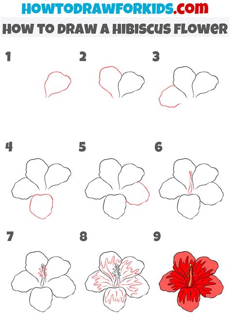 How To Draw A Hibiscus Really Easy Drawing Tutorial Easy Flower Porn