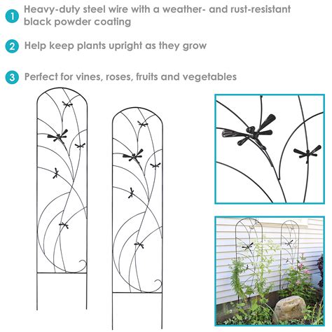 Mua Sunnydaze Dragonfly Delight Inch Metal Garden Trellis For