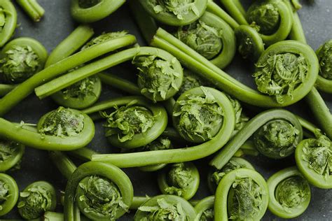 Fiddlehead Ferns | Edible Michiana