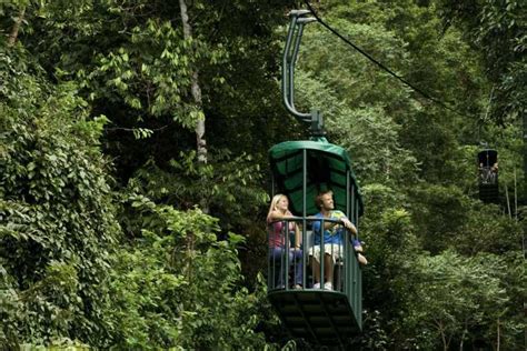 Costa Rica: Pacific Aerial Tram at Rainforest Adventures | GetYourGuide