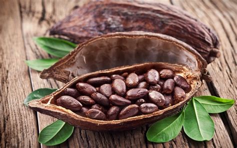 Cacao Para que sirve propiedades beneficios contraindicaciones y más