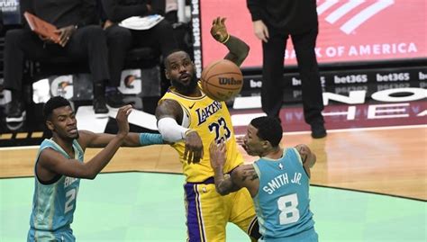 Nuggets Vs Lakers Prediction NBA Picks 2 8 24 PickDawgz