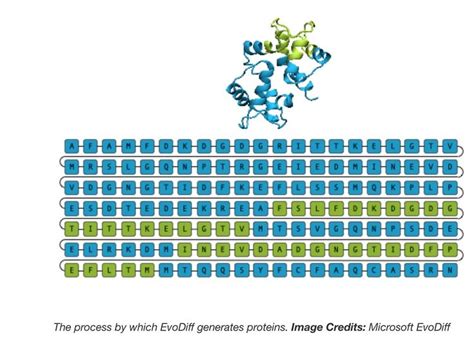 Microsoft Open Sources Evodiff Revolutionizing Protein Generation