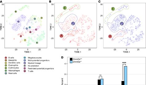 Single Cell Rna Seq Analysis Of Bone Marrow Cells From Dnmt A Hot Sex