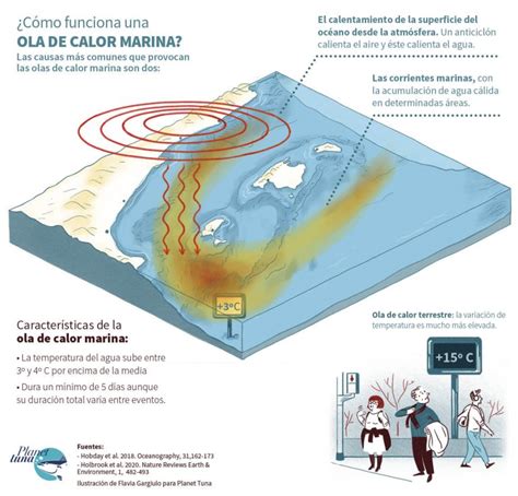 Qu Es Una Ola De Calor Marina Y C Mo Afecta A Las Vida En Los Oc Anos