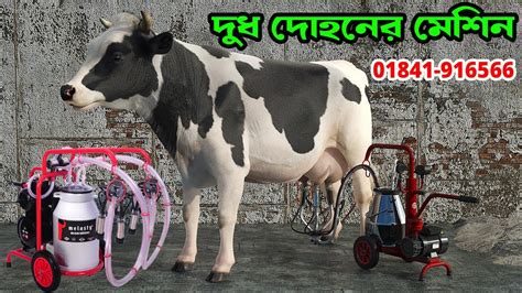 Milking machine price in Bangladesh দধ দহন মশন দখও cow