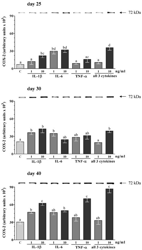 The Effect Of Il 1β Il 6 And Tnf α Or Combination Of The Three