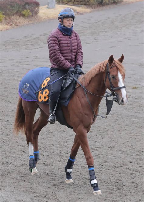 【注目馬動向】クロッカスsで2勝目のトウシンマカオはファルコンsへ Umatoku 馬トク