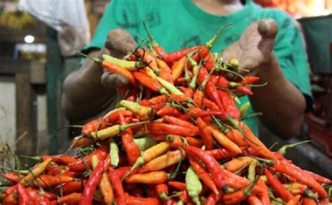 Pedaaas Harga Cabai Rawit Merah Di Pasar Malingping Lebak Tembus Rp100