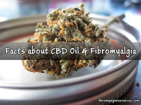 5 Facts About Cbd Oil And Fibromyalgia Fibromyalgia Resources