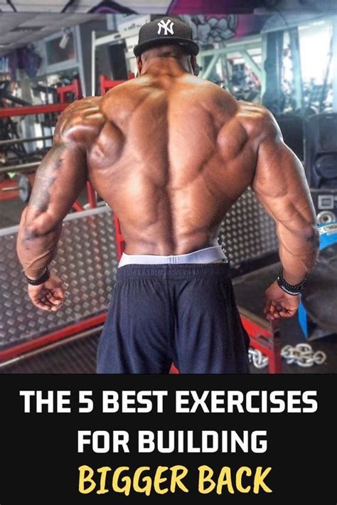 Big Back Workout Good Back Workouts Fun Workouts Workout Plan