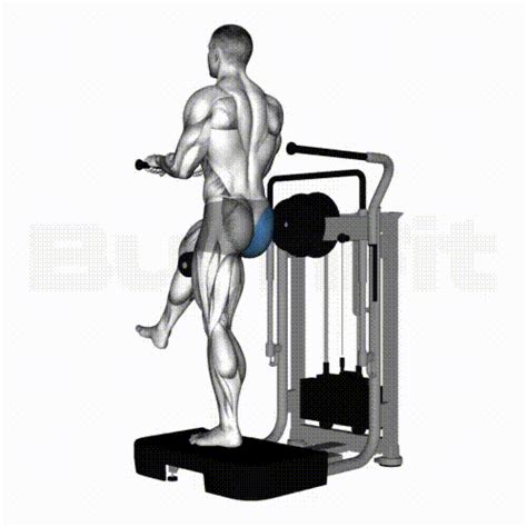 Glute Kickback Machine Smash Your Limit Burnfit