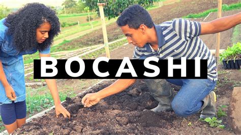 3 Haz tu propio abono Abono orgánico Bocashi Curso de Agricultura