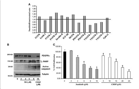 A Sunitinib Inhibits RTKs Involved In Angiogenesis And Tumor Growth