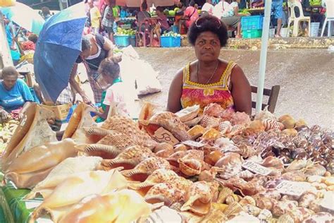 She Sells Seashells, Says its High Demand - Solomon Times Online