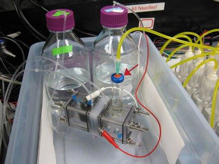 A Partir De Las Celdas Microbianas Se Puede Obtener Una Cantidad