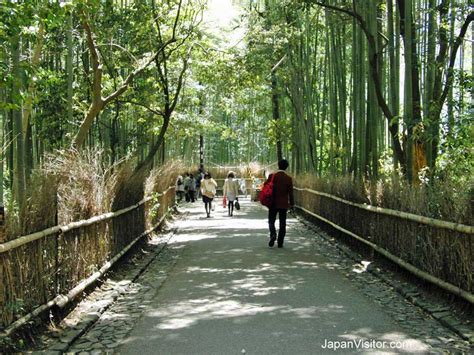 arashiyama walk japan experience