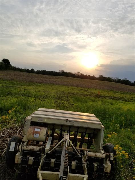 Native Species Restoration Gallery | The Stanger Group Services