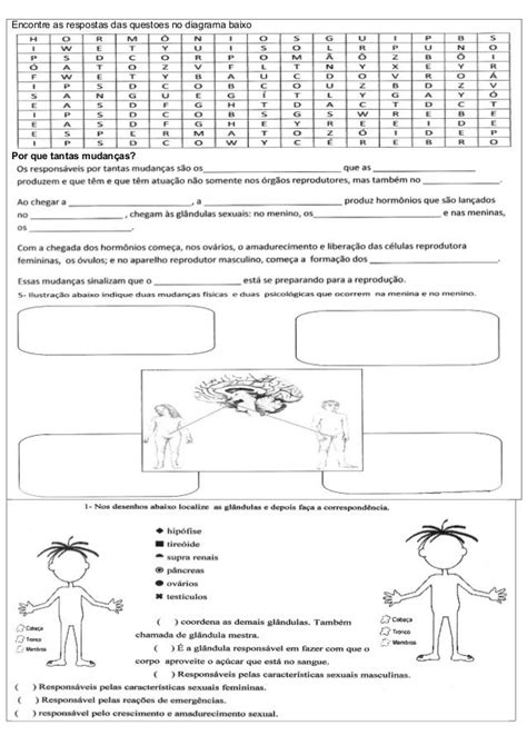 Atividades De Ciencias Sexualidade