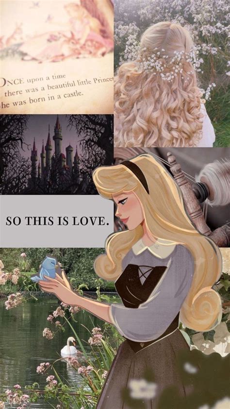 Pin By Kaitlyn Labouve On Disney Sleeping Beauty In 2024 Disney