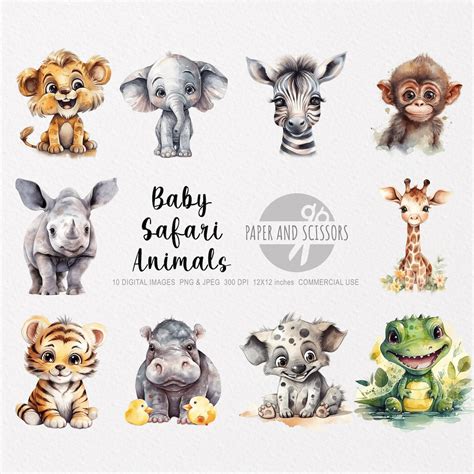 Baby Safari Animals Clipart, Baby Safari Animals PNG, Animals ...