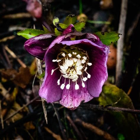 Timekeepers | From My Horizon