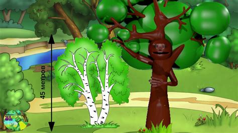 Интересные факты о берёзе. - YouTube