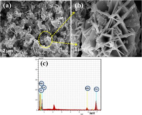 A Sem B Fesem Images And C Edx Pattern Of Mnco O Nanoflakes