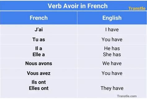 Avoir How To Use Avoir Conjugation And Examples Transtle