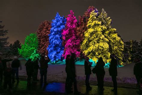 Morton Arboretum Is One Of The Very Best Things To Do In Chicago