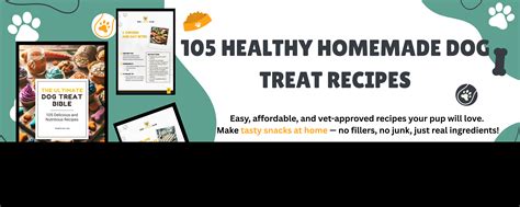 10 Heartwarming Dog Rescue Stories That Will Make Your Day