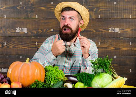 Farmer Presenting Hot Chilli Pepper Wooden Background Bearded Farmer