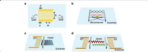 Different Types Of Acoustic Waves A Schematic Diagram Of A Surface