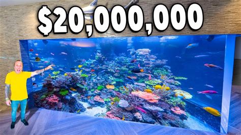 20 000 000 Fish Tank Tour YouTube