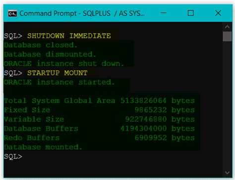 Oracle Change Database Name DatabaseFAQs