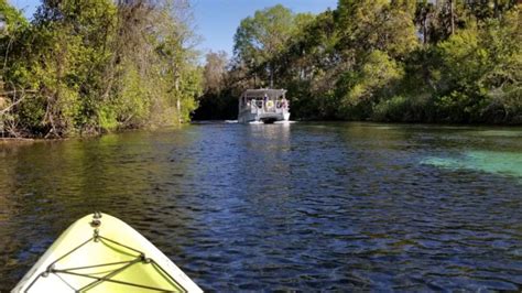 Weeki Wachee Kayaking Manatees And Mermaids Oh My Dang Travelers