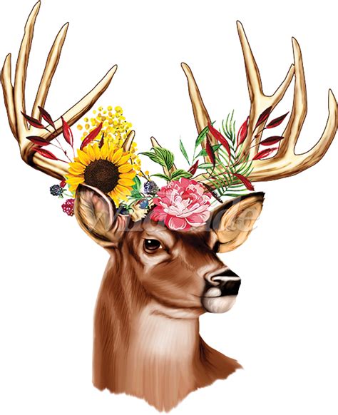 Deer With Flowers In Antlers Elk Clipart Large Size Png Image Pikpng