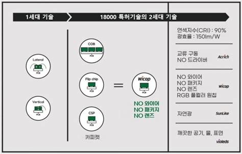 서울바이오시스 Ces 디스플레이 분야 혁신상 네이트 뉴스