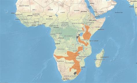 Mapa De Mexilhoes Zebra