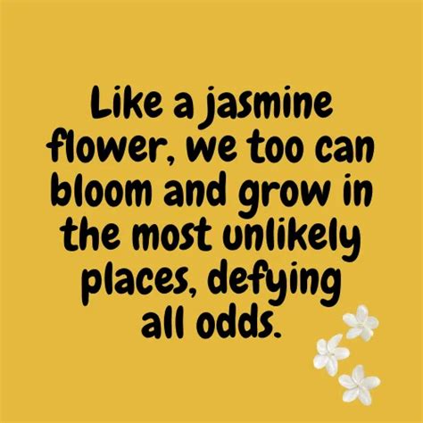 Jasmine Flower Quotes: 50+ Quotes