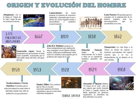 Linea Del Tiempo Sobre La Evolución Del Hombre MXEDUSA