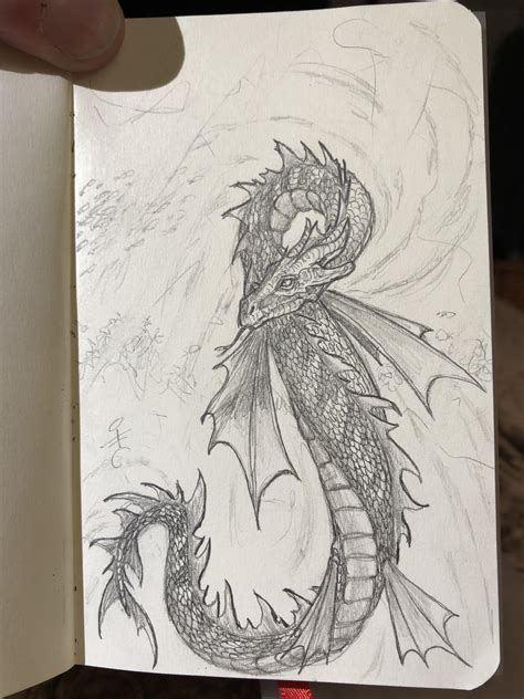 One of my water dragon sketches : r/drawing