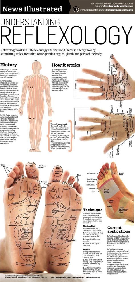 Pin By Pamela Bell English On Reflexology Reflexology Reflexology