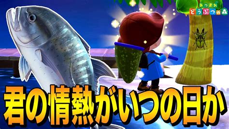 【あつ森】ロウニンアジを釣りながら死にたいほど辛かった日々の話【あつまれ どうぶつの森】 Youtube