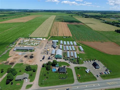 Location And Hours Kool Breeze Farms