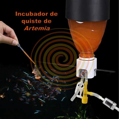 Incubador De Artemia Artemias Mx Sitio Especializado En